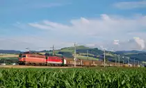 Mit einem Güterzug sind am 24.06.2014 1142 575 und 1142 685
in Nussbach durchgefahren.