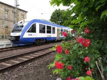 Lint des Harz Elbe Express am 25.05.2014 in Blankenburg (Harz)