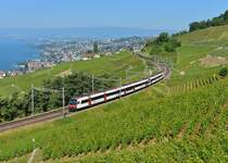 Ein Domino als S21 nach Payerne am 16.06.2014 bei Grandvaux.