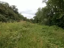 An einer kleinen Seitenstraße ist das ehemalige Anschlussgleis schon gut zugewachsen. Direkt neben dem ehemaligen Gleis führt der Trampelpfad weiter.

Krefeld Uerdingen 22.06.2014