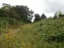 Weiter gehts und bald kommen Schrebergärten. Hier in einer Wohnsiedlung in Krefeld Uerdingen. Das Gleis ist zugewachsen und daneben führt der Trampelpfad.

Krefeld Uerdingen 22.06.2014