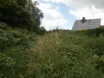 Nach den Bahnübergang Lübecker Straße ist das Anschlussgleis komplett zu gewachsen.
Die Strecke ist bis auf den Bahnübergängen komplett abgebaut.

Krefeld Uerdingen 22.06.2014