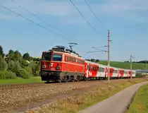 1142 682 ist am 28.06.2014 mit dem R3976 
in Wartberg an der Krems vorgefahren.