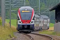 RABe 511 003 fährt als S5 bei Bubikon durch am 28.6.2014