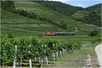 An den Weinreben der Wachau vorbei, rollt 2143.21 mit dem  R 16952 von Krems ad Donau nach Emmersdorf ad Donau. 
Weißenkirchen 15_8_2013