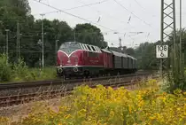 Eigentlich wartete ich auf 011533 am Morgen des 5.7.2014. Dieser hatte aber mächtig Verspätung, so dass ich auch 220033 der Hammer Eisenbahnfreunde vor die Linse bekam. Der Zug war unterwegs nach Wilhelmshaven, hier bei der Durchfahrt um 08.59 Uhr in Hasbergen.