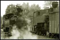Die ehemalige rum�nische Waldbahnlokomotive 764.411 Model Resita Nr. 619, BJ 1986, die zur Zeit bei Dampfahrten beim  Stainzer Flascherlzug  zum Einsatz kommt bereitet sich am 13.2.2006 auf den bevorstehenden Einsatz vor.