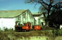  Nr. 11  Asembagus  14.08.04