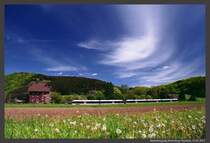 Bahnübergang Plettenberg Teindeln mit FLIRT von Abellio am 19.05.2012. RE 16 nach Essen auf der Ruhr-Sieg Strecke.
Fotostandpunkt: Feldweg nach Hilfringhausen
Kamera: Minolta 9xi, 24mm Weitwinkelobjektiv mit Polfilter 