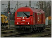 Habe lange �berlegt, ob ich das Bild hochladen soll, oder nicht. Aber irgendwie finde ich es gar nicht einmal so schlecht, mit der Kr�he, die mir ins Bild geflogen ist. 