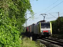 Am Morgen des 17.7.14 fuhr 189 931, welche noch in ihrem schicken Dispolok Farbkleid erstrahlt, mit einem KLV über die Kursbuchstrecke 800 oder um es anders auszudrücken - durch das Maintal. 
Aufgenommen bei Thüngersheim. 