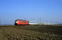 103 139  bei Vechelde  09.03.96