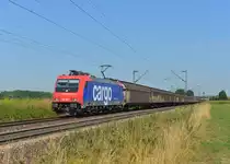 Re 482 036 mit einem Schiebenwandwagenzug am 06.08.2013 bei Plattling.