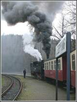 118m H�hendifferenz m�ssen zwischen M�gdesprung und Sternhaus Ramberg �berwunden werden. Daf�r brauchts wieder m�chtig Dampf.
(14.12.2006)