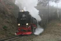 Da bei uns in Elbingerode herrlichster Sonnenschein war, fuhr ich noch mal ins Thumkuhlental. Als ich gegen 11.50 Uhr eintraf, lag Hasserode in einer dicken Nebelschicht. Hier oben schien noch die Sonnen. Doch bevor 99 7245 gegen 12.15 Uhr den Brockenzug mit Volldampf durch den Tunnel Thumkuhlenkopf zog, hatte mich der Nebel eigeholt und zog bis unterhalb von Drei-Annen; 24.12.2006