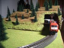 Hier kommt sie aus dem Tunnel: BR 120 110-2 von M�rklin. Sie zieht meinen Lieblingszug, den InterRegio, auf meiner Anlage. Den Tunnel haben mein Vater und ich selbst gebaut: erst haben wir einige Styroporplatten aufeiander gelegt, dann ausgeh�lt, zusammengeklebt, mit brauner Farbe bestrichen, dann das Gras aufgetragen und schlie�lich die Nadelb�ume hineingesteckt. Das Relief verbessern auch die nicht genau �bereinanderliegenden Styroporplatten. Dort gibt es kleine Einbuchtungen und Hohlr�ume.