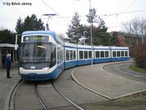 Cobra 3011 am 26.12.06 im Hirzenbach.