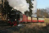 99 6001 mit dem P 8961 zwischen Sternhaus Haferfeld und Sternhaus Ramberg; 26.12.2006
