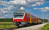 SŽ 713-102 fährt durch Cirkovce-Polje Richtung Maribor. /18.8.2014