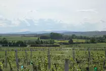 Frühjahrsimpressionen auf der Burgenlandbahn, ein Regionalzug fährt von  Deutschkreutz kommend in Richtung Wiener Neustadt und wird in Kürze die ungarische Grenze passieren. Blick auf das Ödenburger Gebirge auf der rechten Seite und Teile vom Rosaliengebirge im Hintergrund, das schon das Grenzgebiet zwischen Mittelburgenland und Niederösterreich darstellt, Mai 2012
