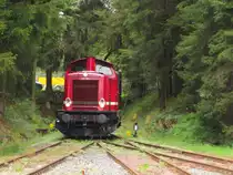 Rennsteigbahn 213 339  Diana  (92 80 1213 339-5 D-RSBG) am 23.08.2014 beim umsetzen im Bahnhof Rennsteig.