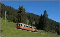 Der BLM Be 4/4 21 als Regionalzug nach Mürren kurz nach Grütschalp. 
28. August 2014