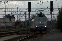 163 094 - 6 fährt mit dem OS 6415 aus Usti nad Laben in Lysa nad Labem ein.
23.08.2014 14.44 Uhr, 8 Minuten nach der planmäßigen Ankunft.