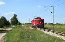 444 006 solo am 22.08.14. in  Stephanovicevo auf dem Weg nach Novi Sad.