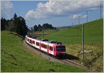 Travy Regionalzug 4221 von Le Brassus nach Vallorbe kurz vor Les Charbonnières.
(04.09.2014)
