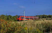 Ein ET 442 ist auf der RB19 von Senftenberg nach Berlin Gesundbrunnen in der Kramer-Kurve südlich von Berlin zwischen dem Außenring nahe des ehem. Bahnhofs Genshagener Heide und der Anhalter Bahn bei Großbeeren unterwegs. (08.09.2014)