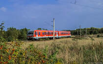 Auf einer mir unbekannt gebliebenen Sonderfahrt - es waren auch Fahrgäste an Bord - kommt ein VT 628 über die Kramer-Kurve südlich von Berlin daher gefahren. (08.09.2014)