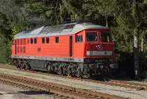 Auf dem Ausziehgleis der Wüst des Industrieparks Gendorf wartet 232 252-7 auf neue Aufgaben. Kastl (Oberbayern), 17.09.2014
Öffentlich zugänglicher Fotostandort (Bahnsteig)

Hersteller: Lokomotivfabrik Oktober-Revolution, Woroschilowgrad
Fabriknummer: 0465
Abnahmedatum: 13.09.1975
Erst-Bw: Halle (Saale) G
weitere Beheimatungen: Seddin, Reichenbach (Vogtland), Frankfurt (Oder), Cottbus, Rostock-Seehafen
UIC-Nr.: 92 80 1232 252-7 D-DB
Betreibernr. z.Z.d. Aufnahme: 232 252-7
Radsatzfolge: Co'Co'
Vmax (km/h): 120
Leistung (kW): 2.210
Anfahrzugkraft (kN): 294
Dienstmasse (t): 120
Radsatzfahrmasse max. (t): 20
LüP (mm): 20.820