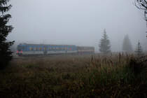 Unbekannte Komposition 842 mit 810 in Front ist als Os 18071 nach Stožec im dichten Morgennebel unterwegs bei Dobrá.Dabei unterbrechen sie für kurze Zeit die zahlreich aus allen Richtungen meldenden Hirschstiere in ihrer heftigen Brunft.Bild vom 15.9.2014