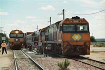 Servicehalt und Ueberholung in Cook (4 Einw.), inmitten der endlosen Nullarbor-Ebene zwischen Kalgoorlie (WA) und Port Augusta (SA), wo sich mit weit �ber 400 km L�nge die l�ngste Eisenbahngerade der Welt befindet. Links der Indian Pacific mit NR 48  Northam  und nicht weniger als 26 Wagen, rechts ein endlos langer Containerzug mit NR 92  City of Bankstown  sowie NR 88  Dimboola . Aufnahme vom 30. Oktober 2006.