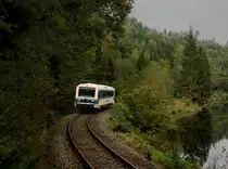 Der VT 08 bei einer Fotofahrt am 27.09.2014 unterwegs bei Gumpenried-Asbach.