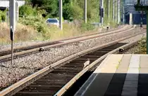 Lauf  Kaninchen , lauf, zum Glück hat der RE nach Dresden Verspätung.28.09.2014 12:35 Uhr  Bahnhof  Freiberg