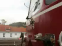 Vorsicht bissige Spinne. Hier wache ich. Eine Kreuzspinne in ihrem Netz gespannt zwischen 815 672-1 und 515 556-9. Im Museum finden sich einige der kleinen Krabbler die sich zwischen den Wagen ihre Netze bauen.

Bochum Dahlhausen 20.09.2014