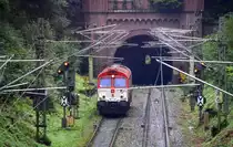 Die Class 66 DE6313  Ymke  von Crossrail  kommt aus dem Gemmenicher-Tunnel als Lokzug aus Geleen-Lutterade(NL) nach Aachen-West(D) und fährt die Gemmenicher-Rampe nach Aachen-West runter. 
Aufgenommen bei Reinartzkehl bei Regenwetter am 29.9.2014. 