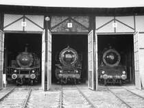 64 289,01 1104 und die Franz�sische 231K22 im SEH.