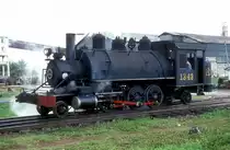 Nr. 1343  Marcelo Salado  10.03.96