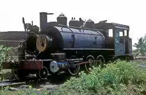 Nr. 1343  Marcelo Salado  28.03.01