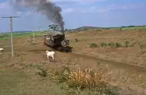 Nr. 1345  Mal Tiempo  22.03.01