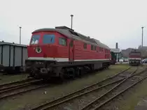 Jahrelang sah ich die 132 372 in Mukran bei den Schrottlok`s stehen,mit dem Gewissen das Sie bald zum Schrott wandere,doch das Schweriner Eisenbahnmuseum ersparte der Lok den Weg zum Schrotthändler und holte Sie ins Museum wo ich Sie am 03.Oktober 2014 zusammen mit der zuerkennen 120 001 im Freigelände stand.