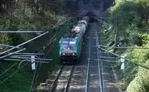 Die Cobra 2834 kommt aus dem Gemmenicher-Tunnel mit einem langen gemischten Güterzug aus Antwerpen-Noord(B) nach Köln-Gremberg und fährt die Gemmenicher-Rampe herunter nach Aachen-West. 
Aufgenommen bei Reinartzkehl an der Montzenroute bei schönem Herbstwetter am 4.10.2014.
