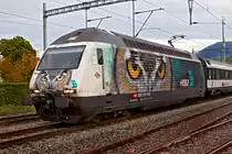 Die Eulen sind los in Richterswil!                                              
Die Werbelok des Verbands Schweizer Lokführer und Anwärter,die Re 460 105 
saust mit einem Ic aus Chur nach Zürich HB vorüber.Sie trägt seitlich und an der Front das Portrait einer Waldohreule.
Eine sehr clevere Idee ist insbesondere an der Lokfront zu sehen,hier
werden die fehlenden Federohrbüschel der Waldohreule stilistisch durch die Scheibenwischer der Lok ersetzt und imitiert...sehr gut durchdacht muss ich da  sagen!
Bild vom 10.10.2014
 