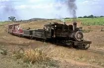 Nr. 1345  Mal Tiempo  22.03.01