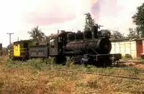 Nr. 1347  Osvaldo Sanchez  05.03.96