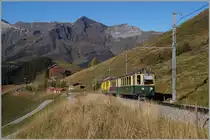Der BDhe 4/4 119 schiebt schiebt seinne Zug Richtung Kleine Scheidegg und hat vor kurzem die  im Hintergrund zu sehende Station Wengeneralp verlassen. 
9. Okt. 2014