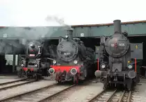 Drei Schönheiten aufgereiht vor dem Rundlokschuppen im Eisenbahnmuseum in Ampflwang am 04.10.2014 zum Jubiläum 40 Jahre ÖGEG.