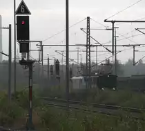 Eigentlich gibt es , wenn man auf das südöstliche Gleisvorfeld von Freiberg blickt, ausser dem üppigen Grün, wenig zu sehen, anders heute, als  E 77 10 hier rangiert. 
11.10.2014  10:33 Uhr.